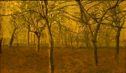 Blossoming Apple Trees